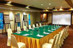 St Jame Hotel  - Meeting Room