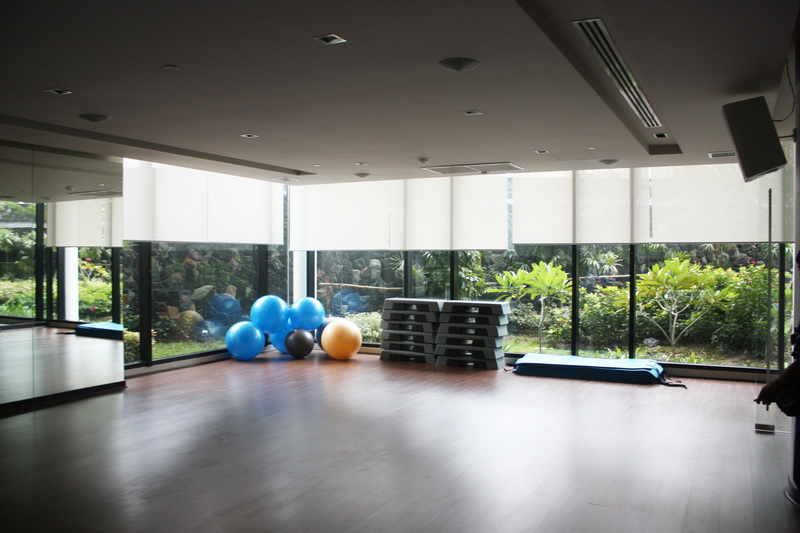 The Zign Fitness - Motorized  Roller Blind